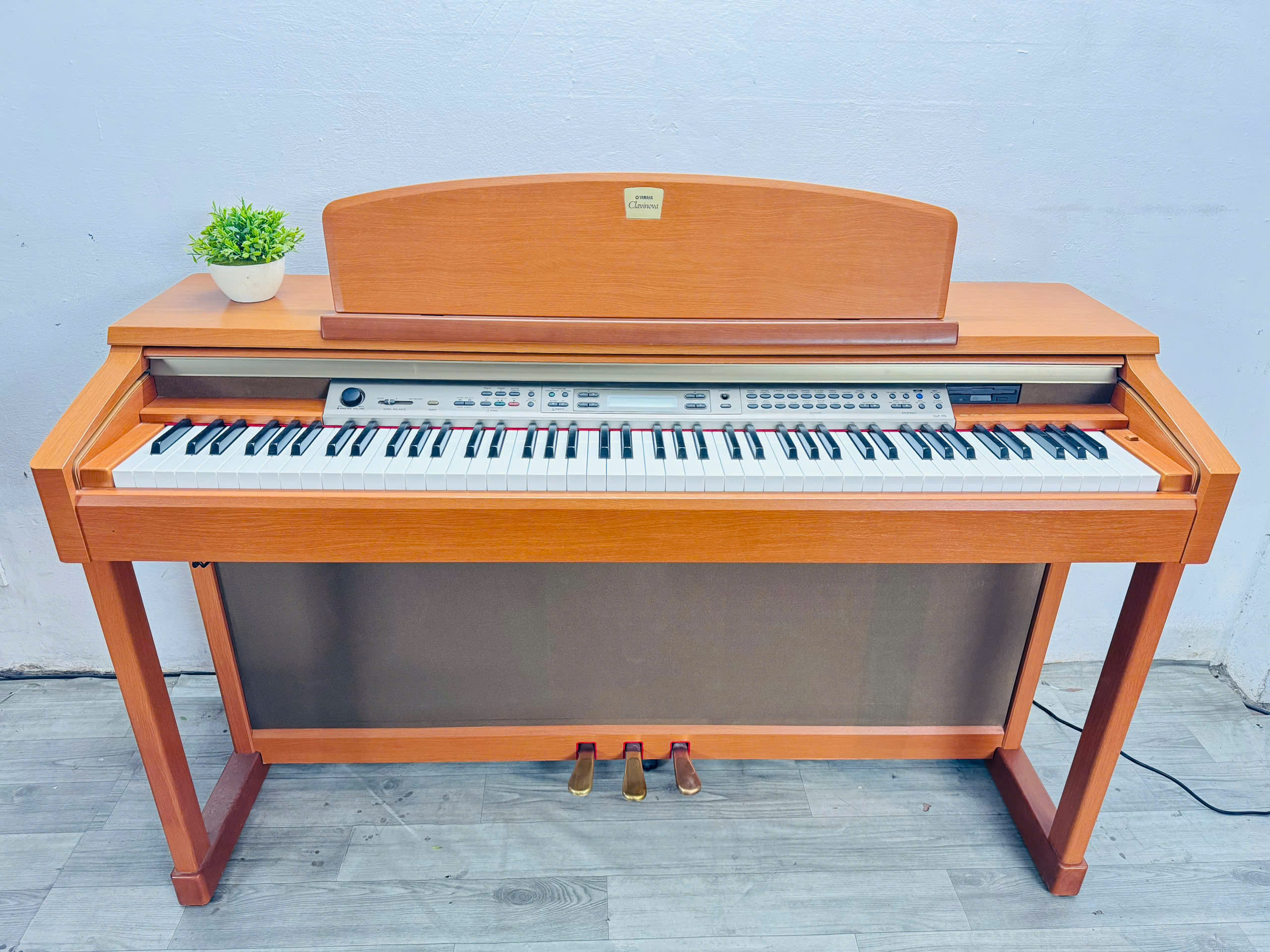 Mua đàn piano, organ cũ mới giá rẻ, chất lượng tốt tại Cà Mau