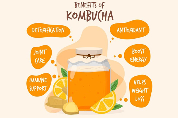 Lợi ích của Kombucha