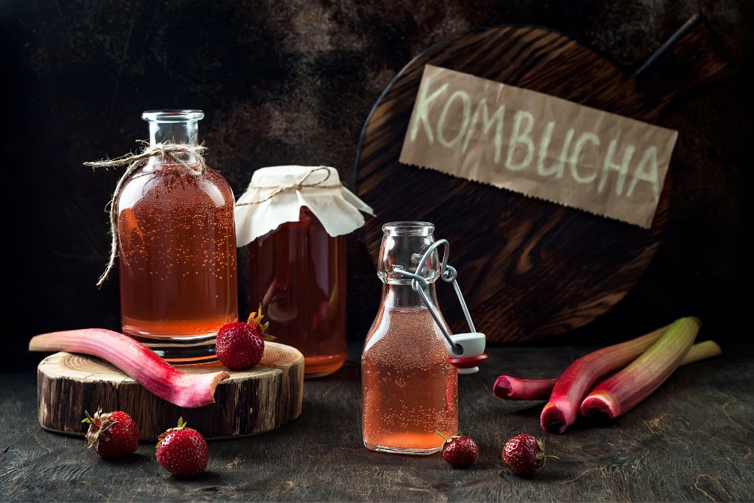 Các loại trà Kombucha
