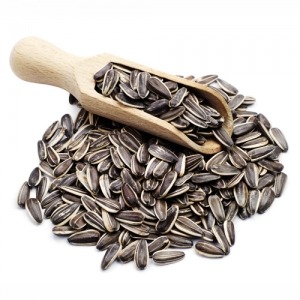 Mua hạt hướng dương ở đâu ngon? Đổ sỉ hướng dương tại Jnsfoods