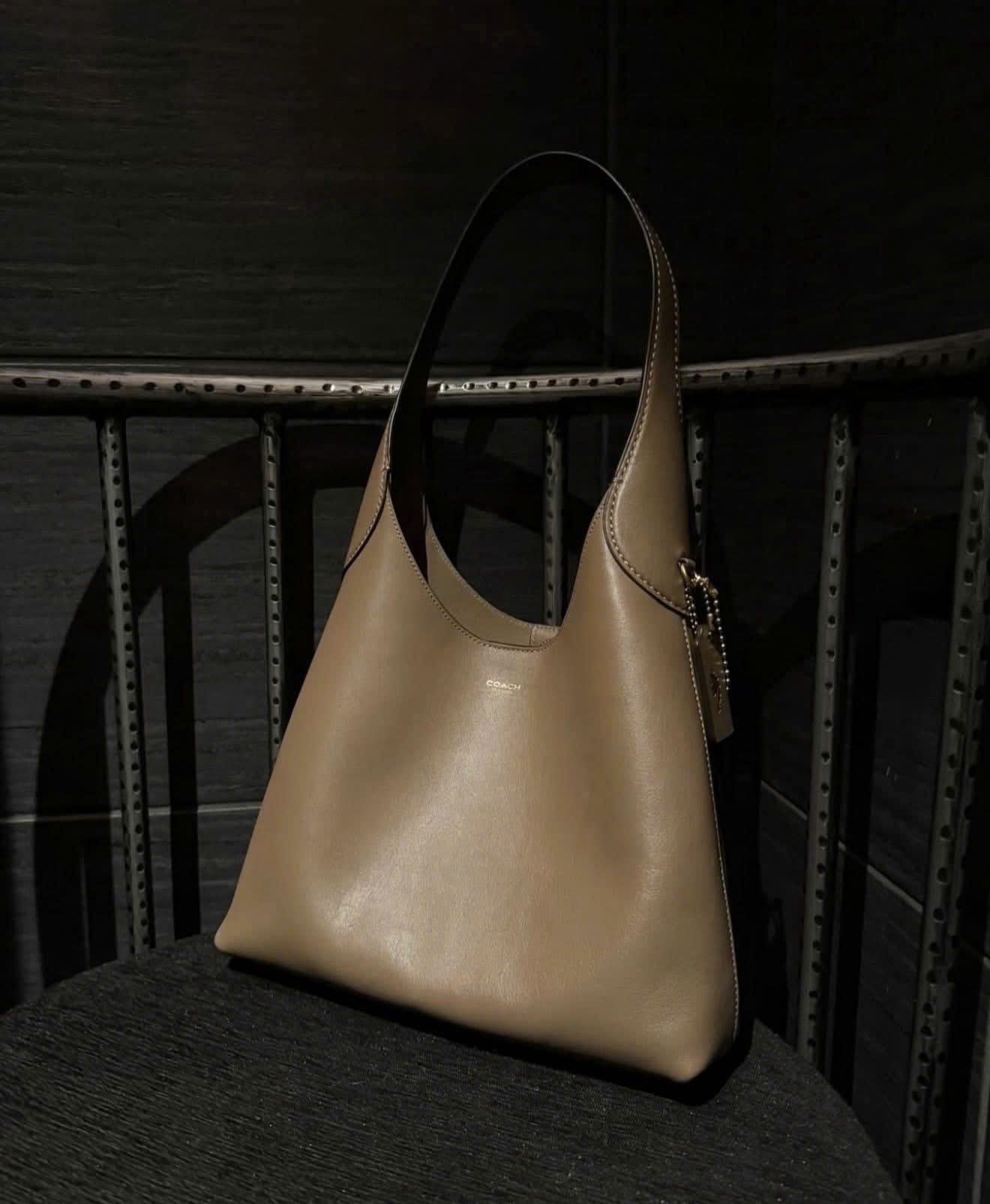 Túi Đeo Vai Hobo Coach Brooklyn