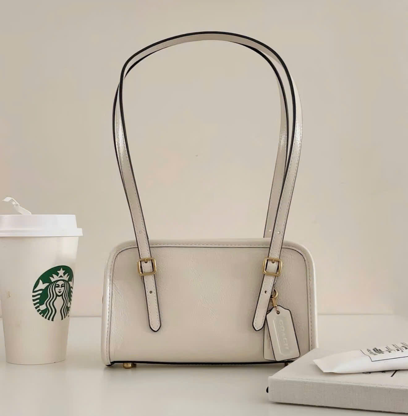 Túi Coach Swing Zip 20 In Leather