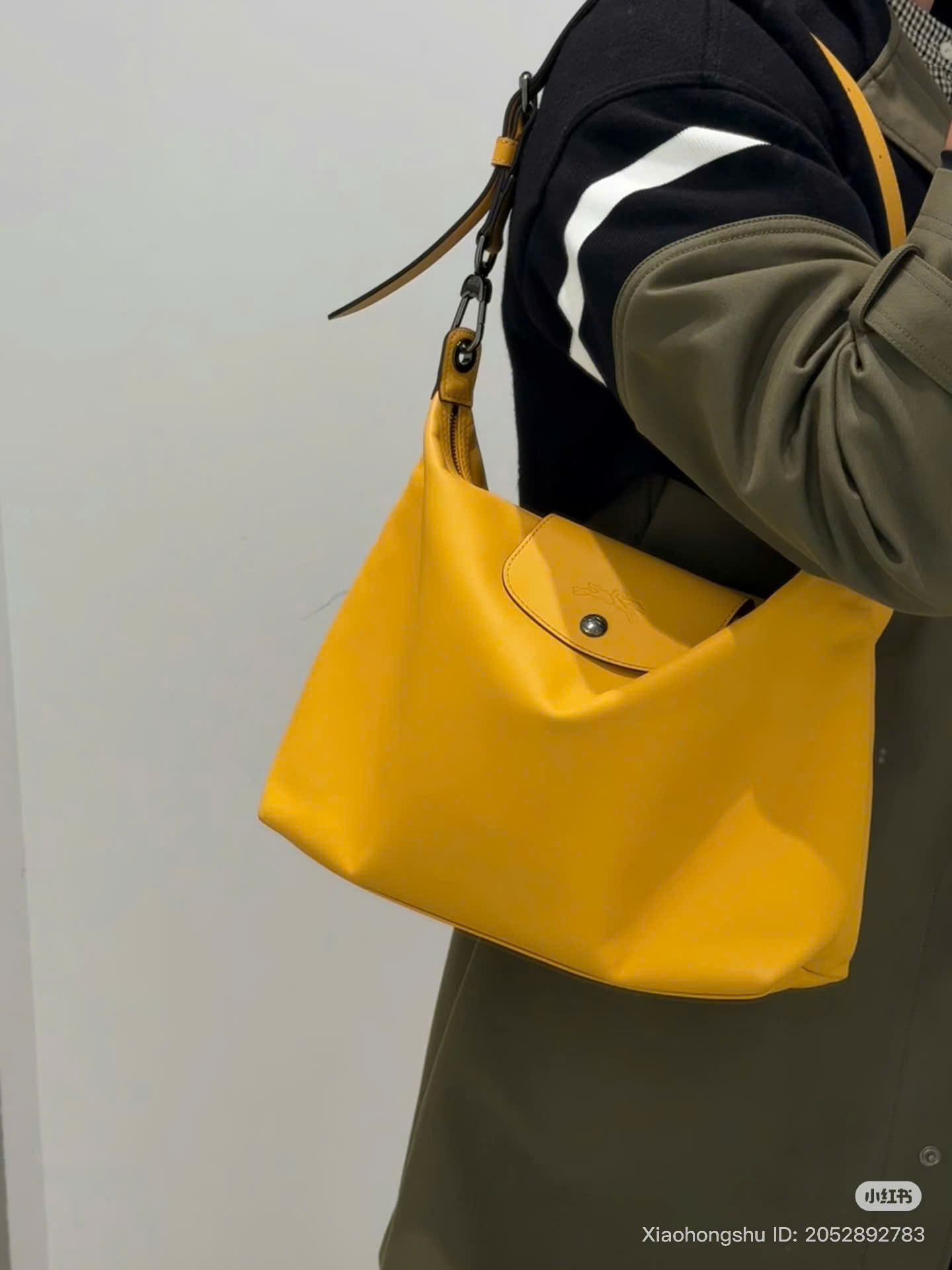 Longchamp Hobo Da Bê