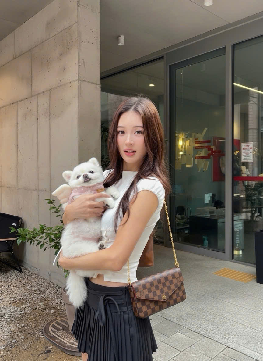 Louis Vuitton Felicie Damier
