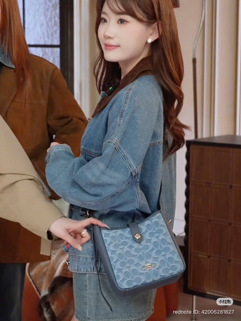 Túi Coach Hadley Hobo Mini
