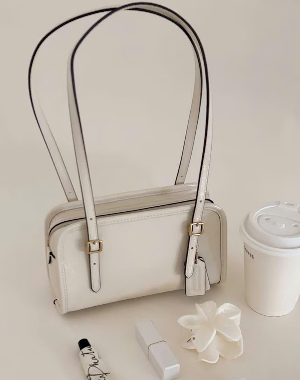 Túi Coach Swing Zip 20 In Leather