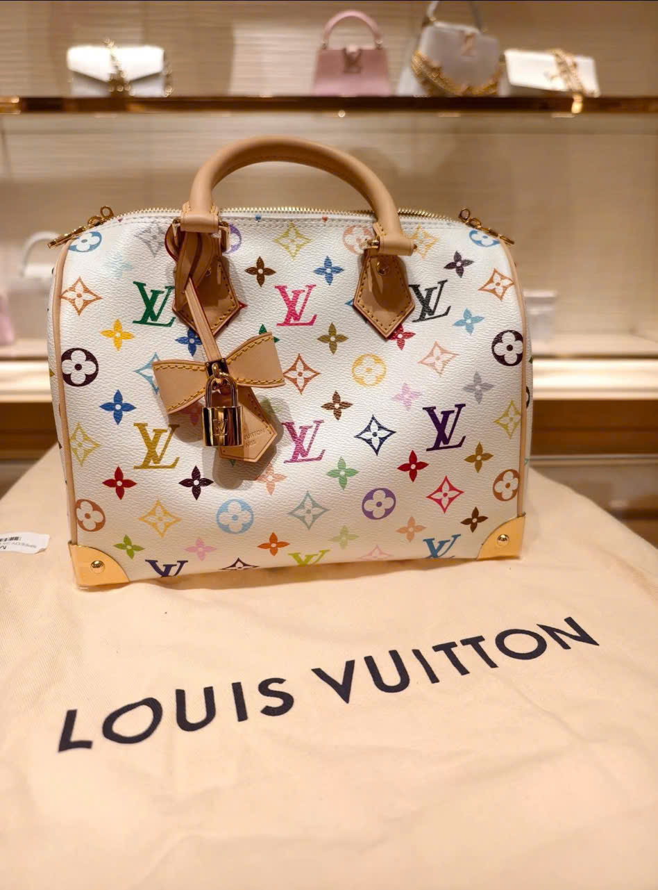 Louis Vuitton speedy 25 TM