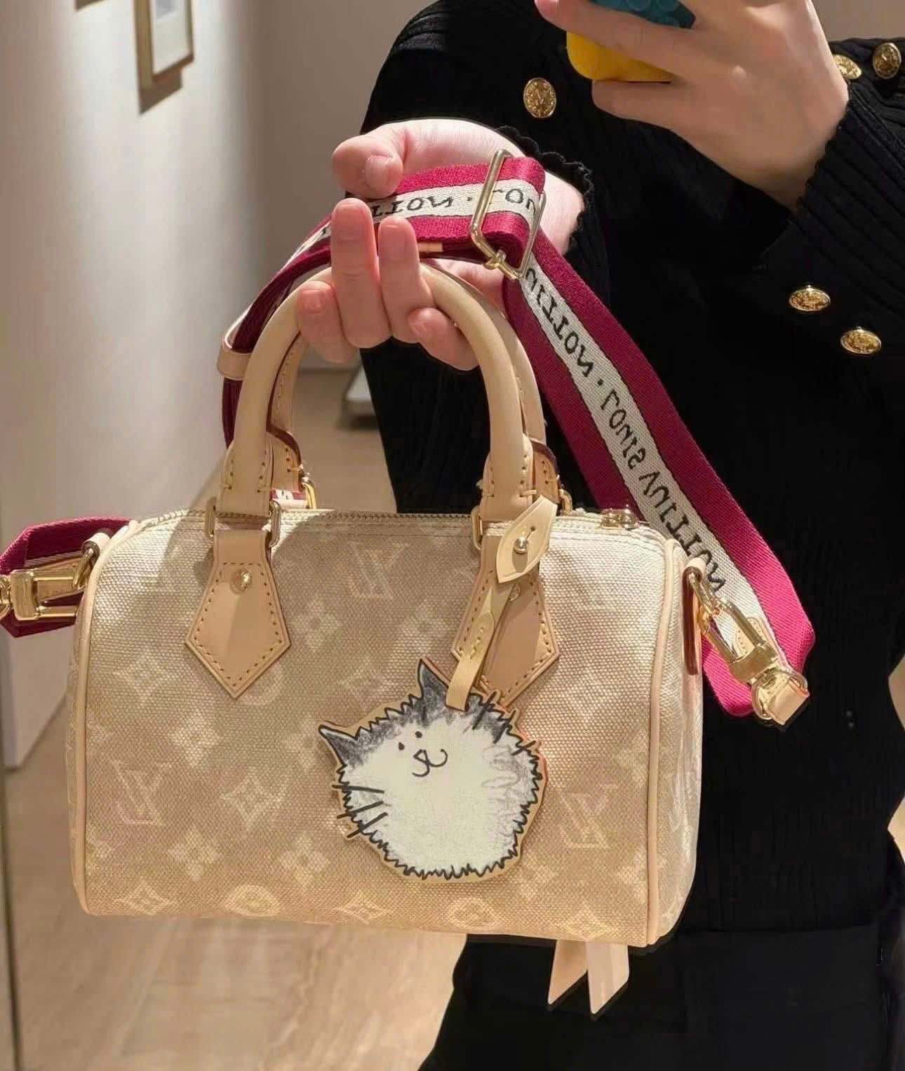 Túi Xách Louis Vuitton Speedy 20 Limited