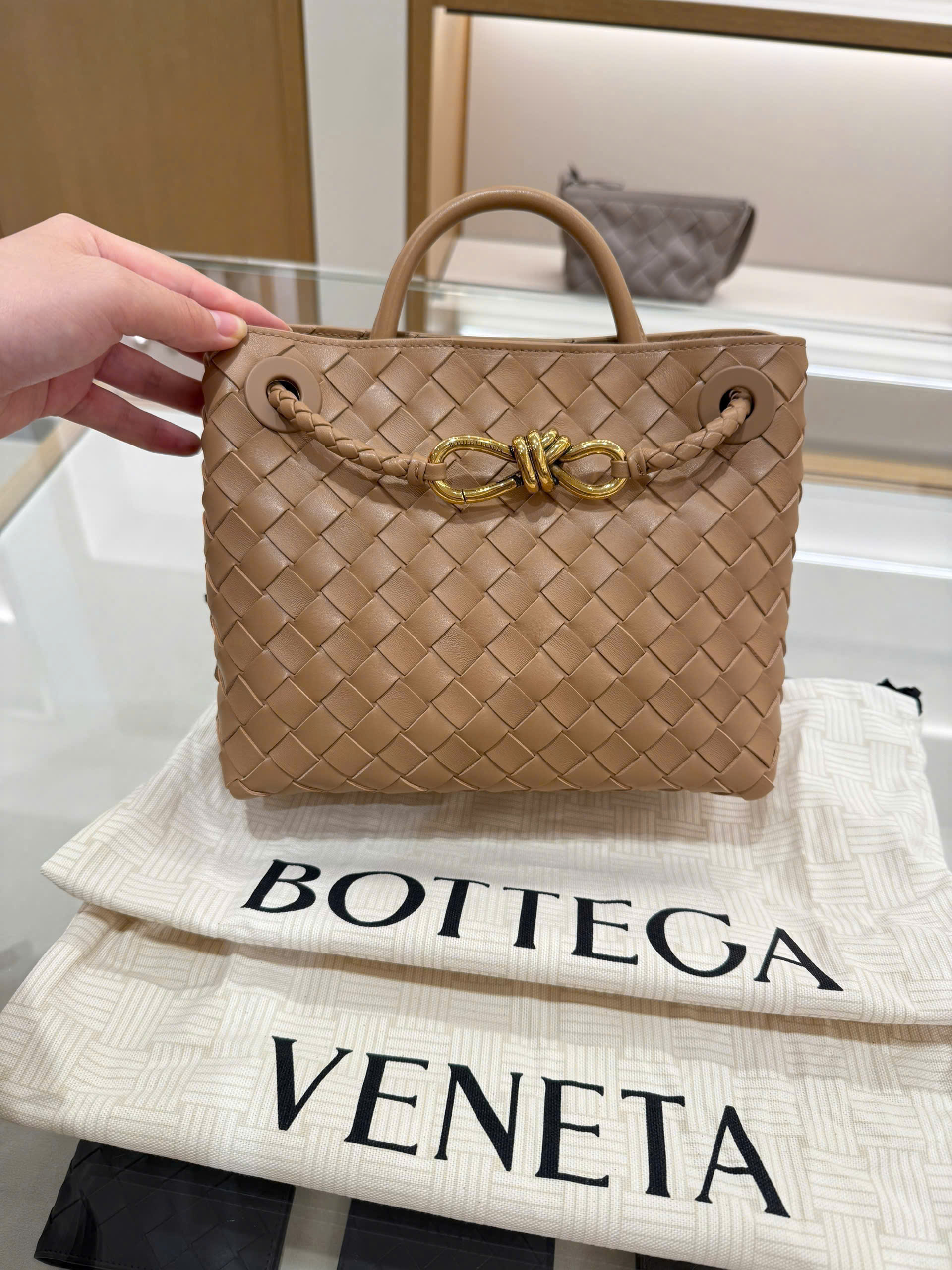 Bottega Veneta Andiamo Small