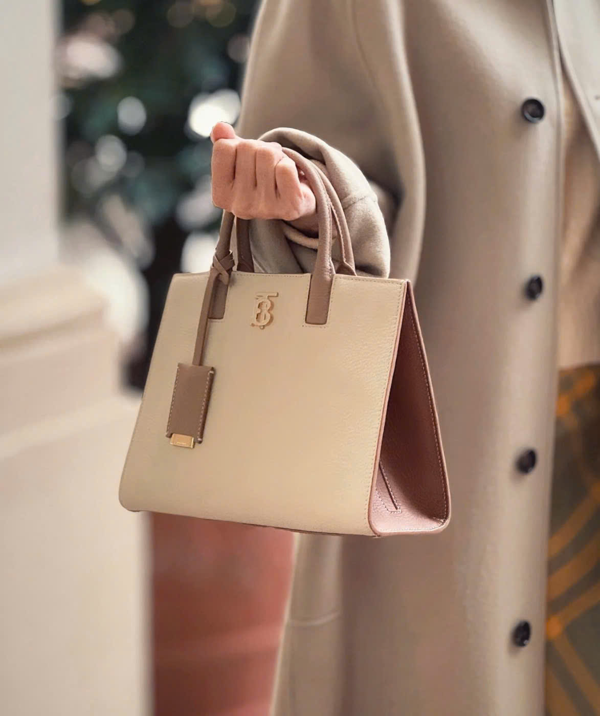 Túi Xách Burberry Frances