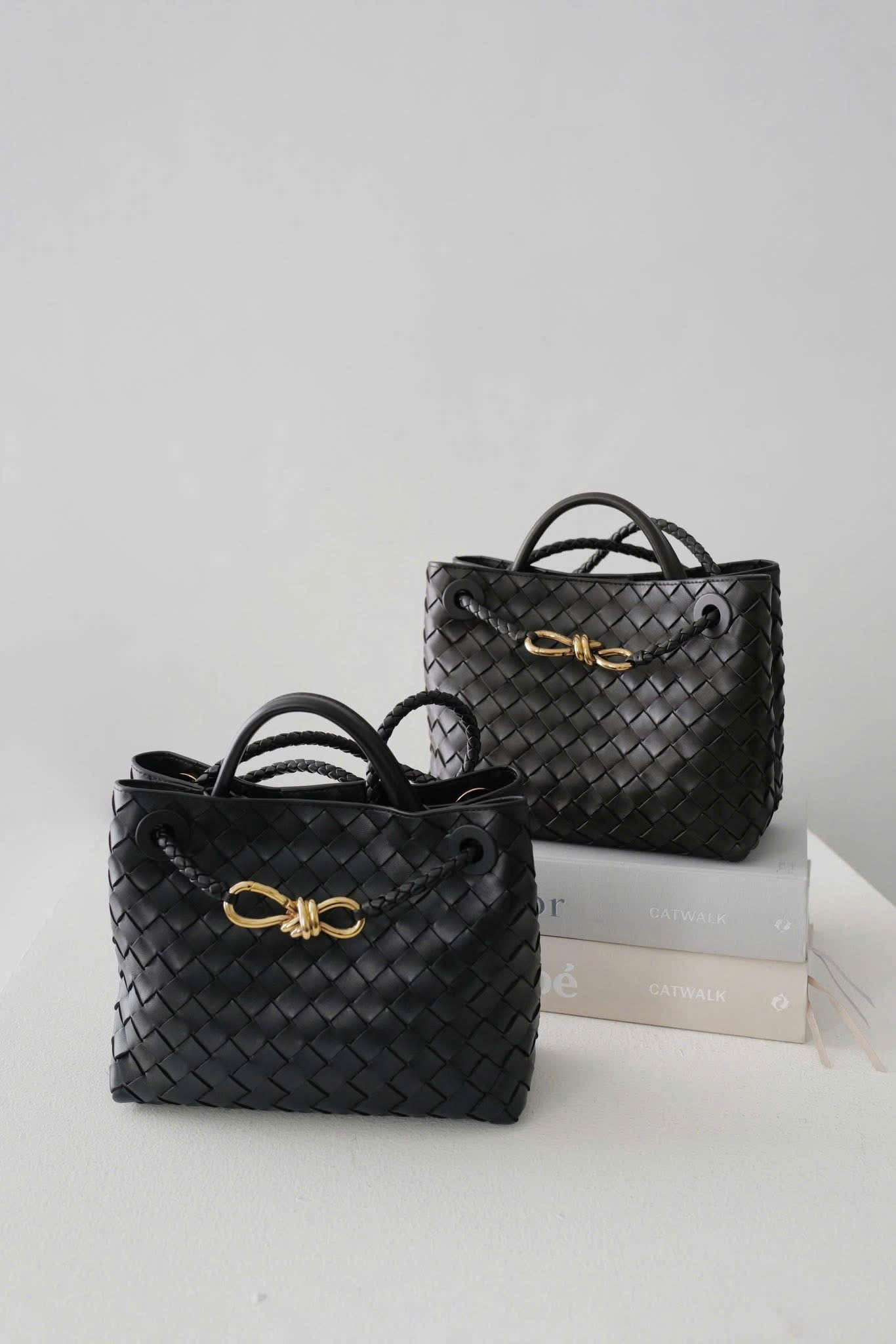 Bottega Veneta Andiamo Small