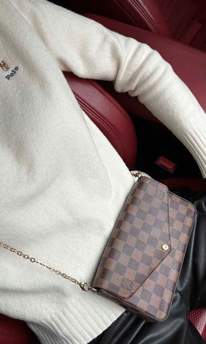 Louis Vuitton Felicie Damier