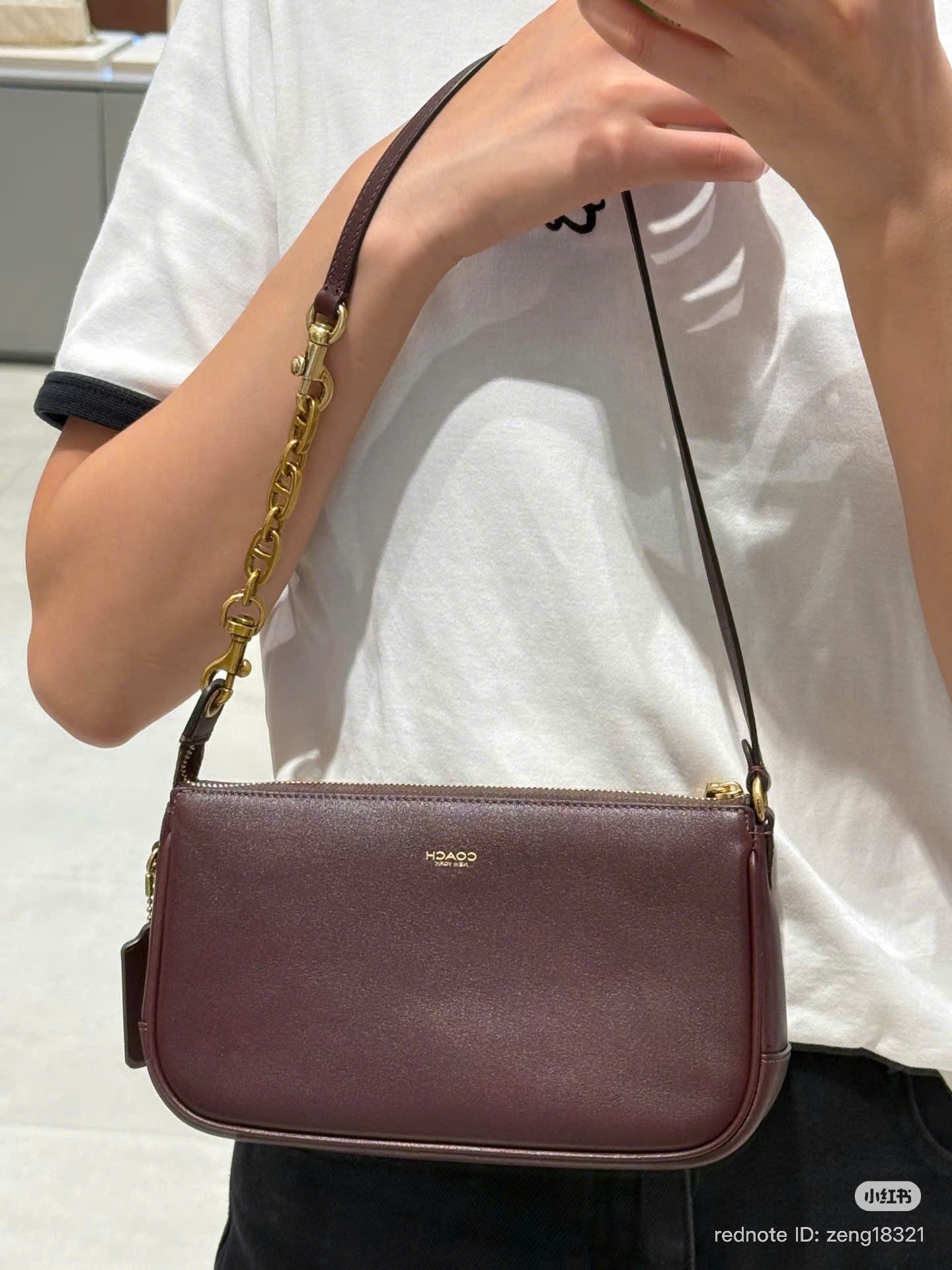 Coach Plaza Maple