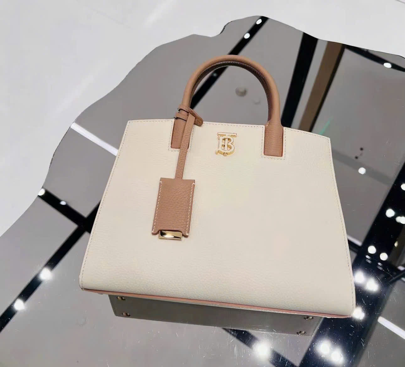 Túi Xách Burberry Frances