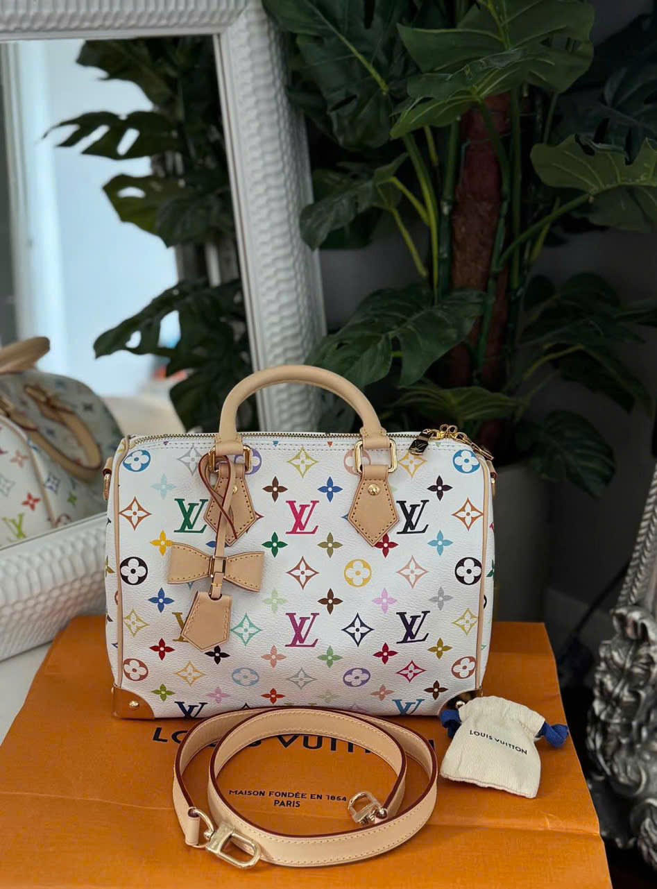 Louis Vuitton speedy 25 TM