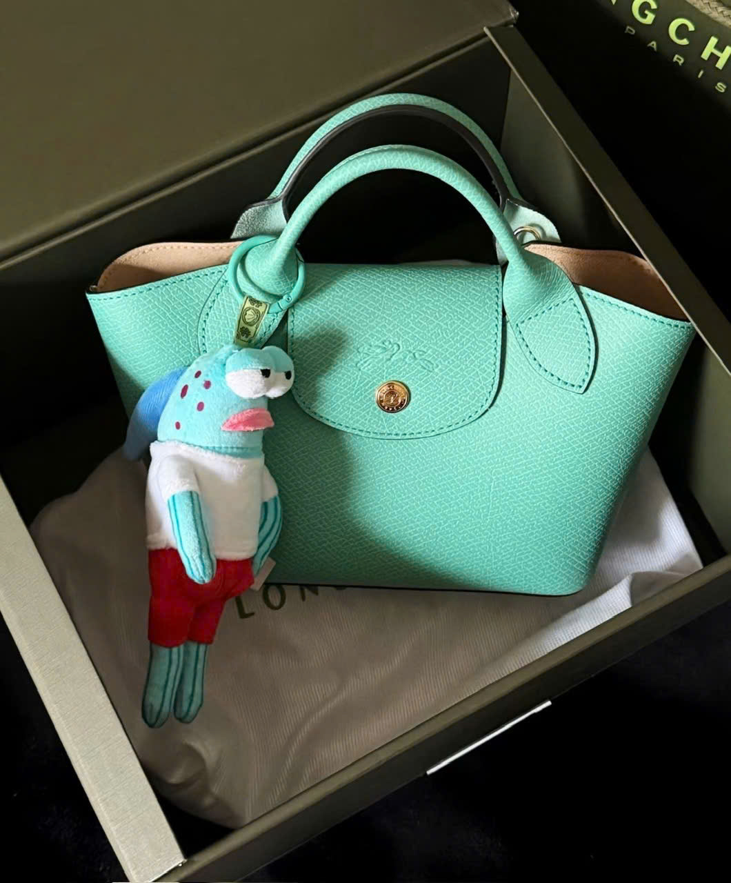 Túi Longchamp Epure Xs