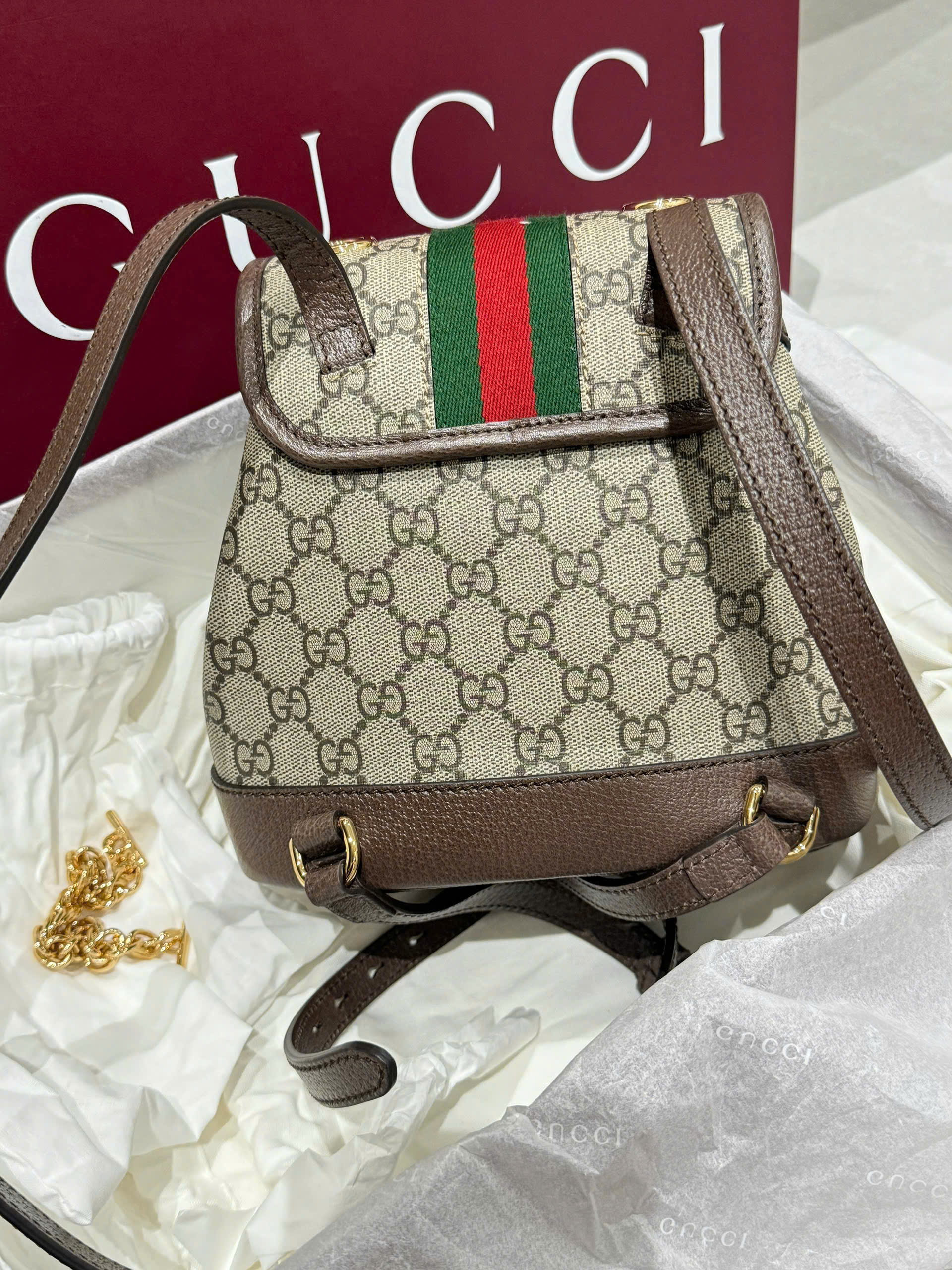 Balo Gucci Mini Ophidia Mono Canvas