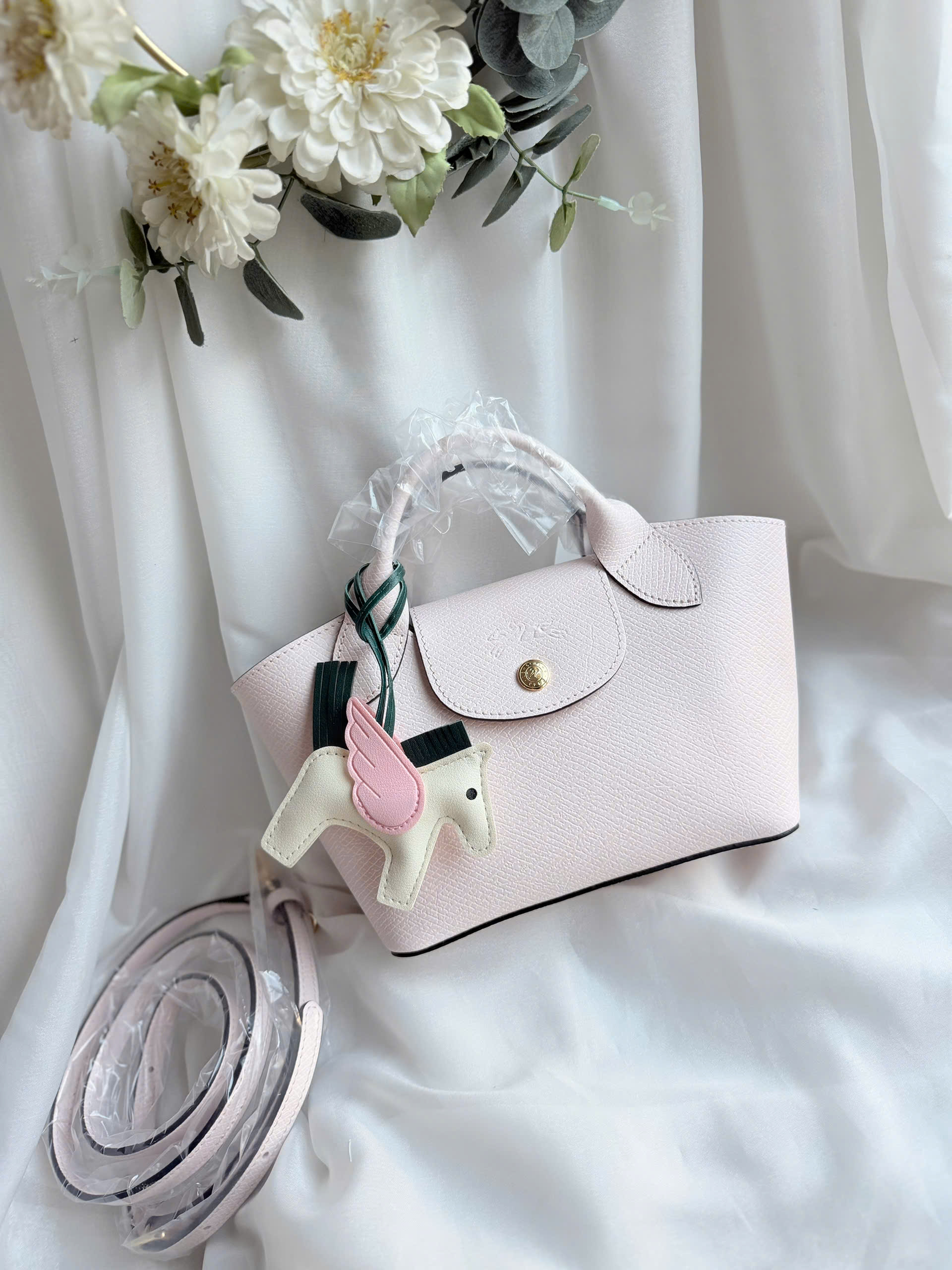 Túi xách Longchamp Epure