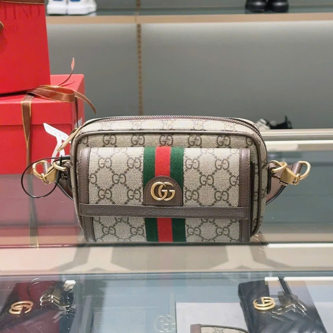 Tui Xach Gucci Ophidia Zip