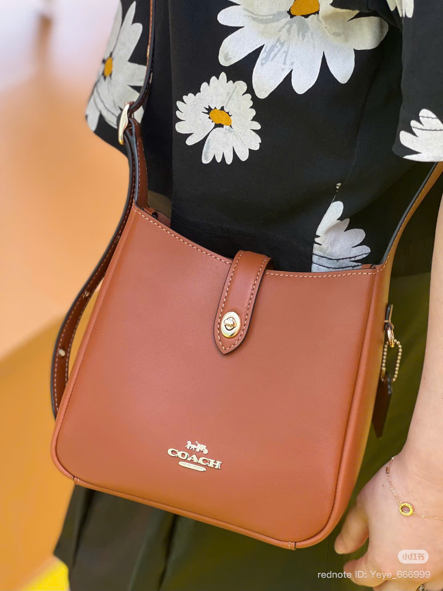 Túi Coach Hadley Hobo Mini