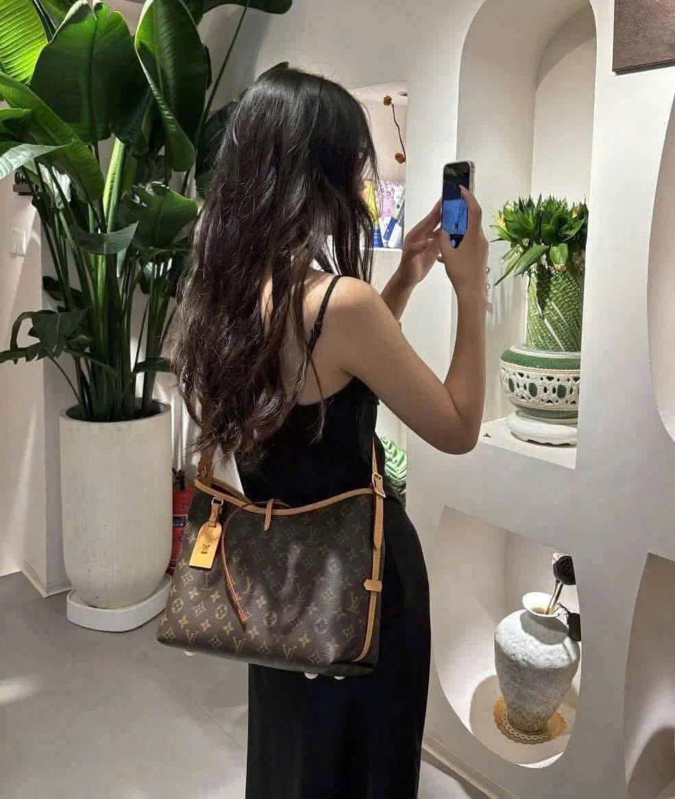 Túi Xách Louis Vuitton Carry All Pm