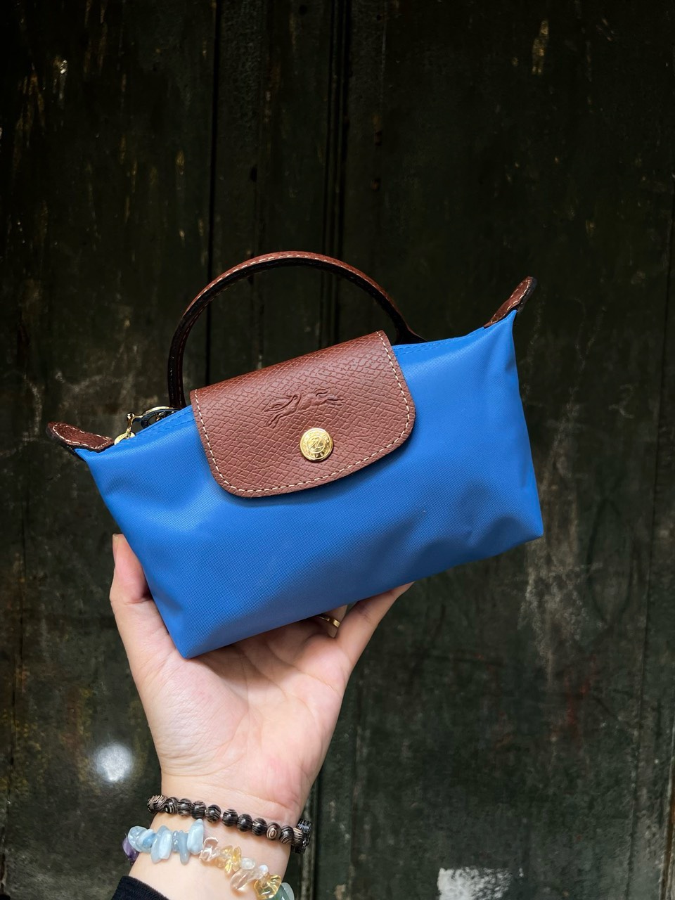 Longchamp mini pouch