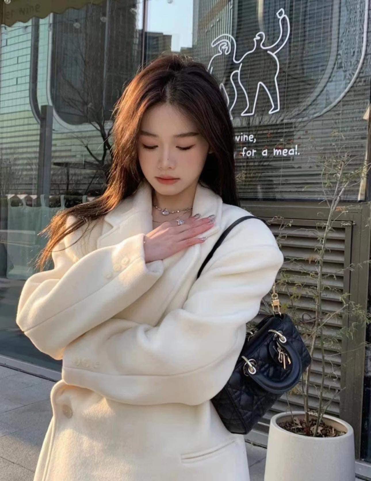 Dior D-joy small