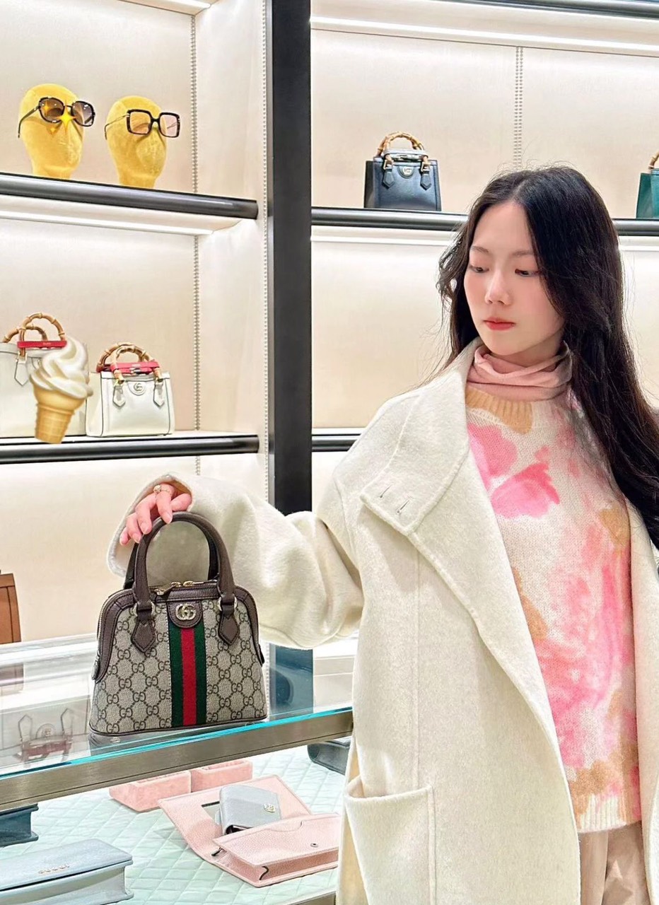 Túi Gucci ophidia
