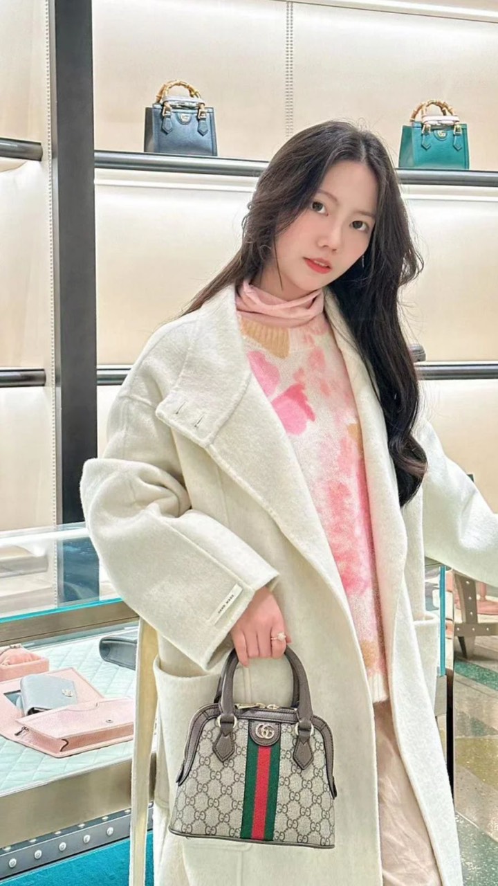 Túi Gucci ophidia
