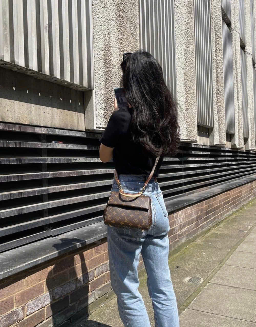 Louis Vuitton Clunny Mini