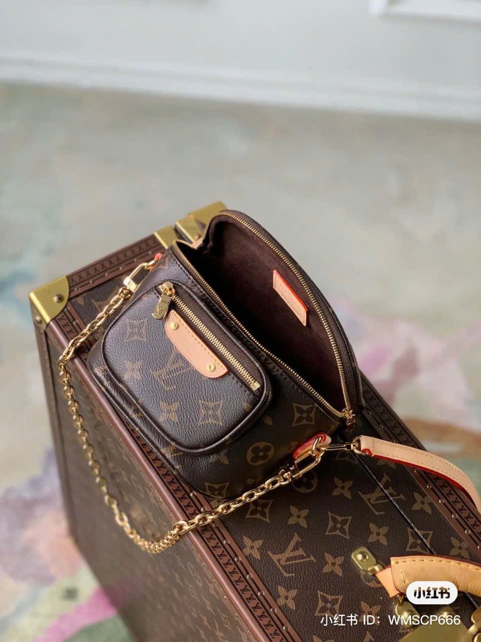 LOUIS VUITTON Bumbag mini mono
