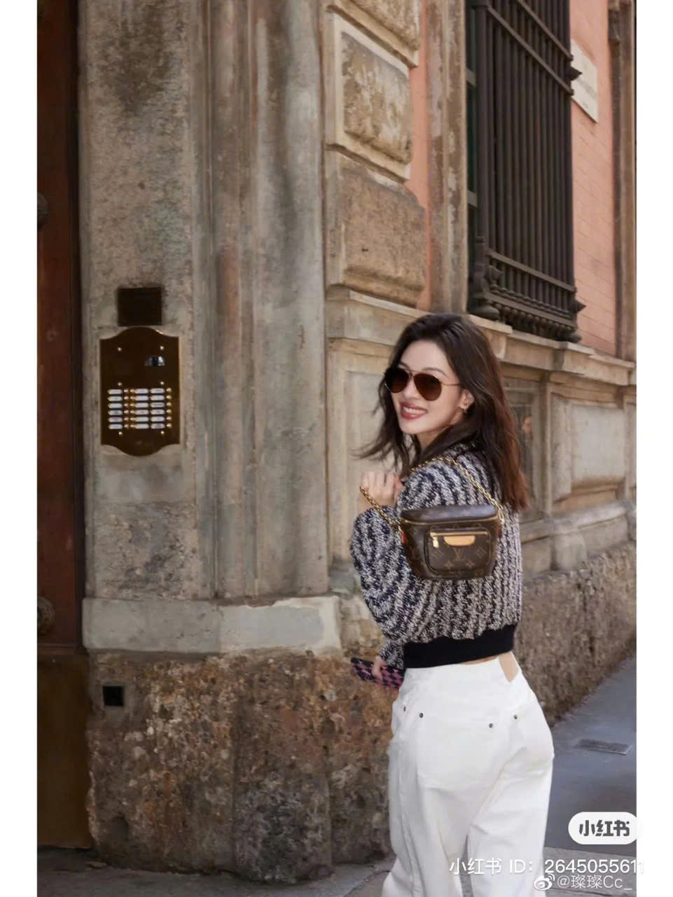 LOUIS VUITTON Bumbag mini mono