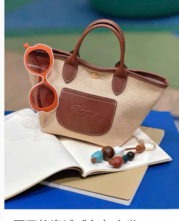 Túi xách Longchamp small