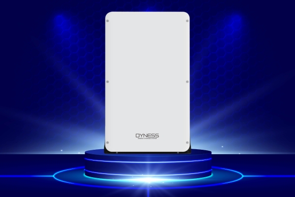 Dyness PowerBox Pro 10.24kWh