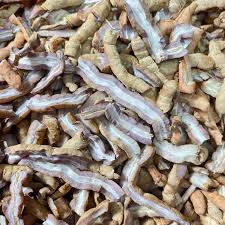 Ba Kích Tím có tác dụng gì