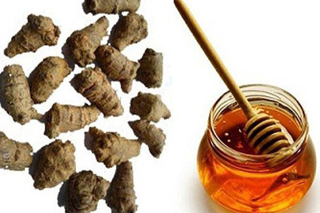 Cách dùng tam thất, tam thất mật ong và công dụng