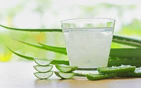 Cách ngâm rượu nha đam