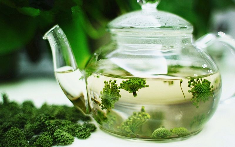 Tác dụng của nụ hoa tam thất và cách sử dụng sao cho hiệu quả