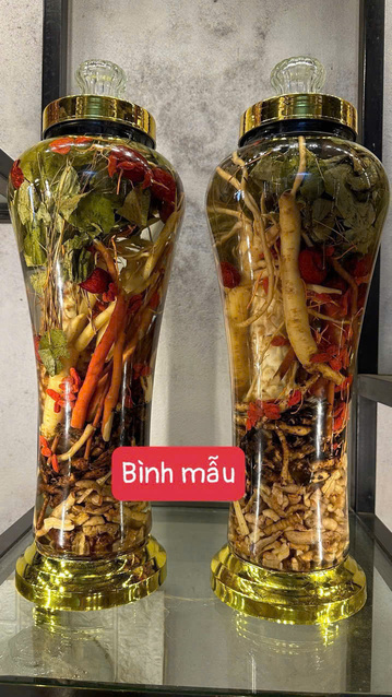 Thập toàn Đại Bổ(10 vị thảo dược quý)