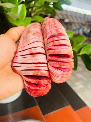 Nhung hươu  tươi Hương Sơn Hà Tĩnh