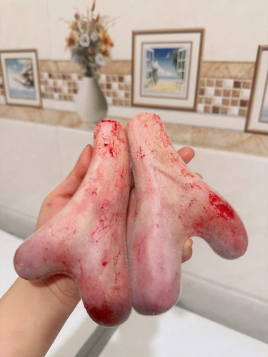 Nhung hươu  tươi Hương Sơn Hà Tĩnh
