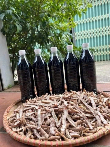 Ba Kích Tím Quảng Ninh A1