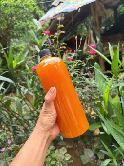 Mật Ong Rừng nguyên chất Tây Bắc(ong khoái,ong ruồi)