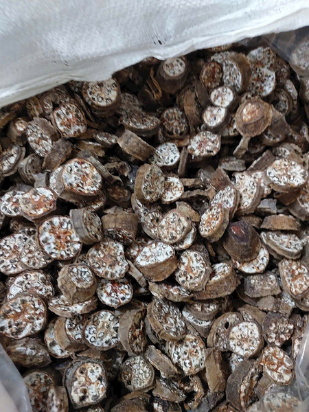 Chuối Hột Rừng thái lát khô