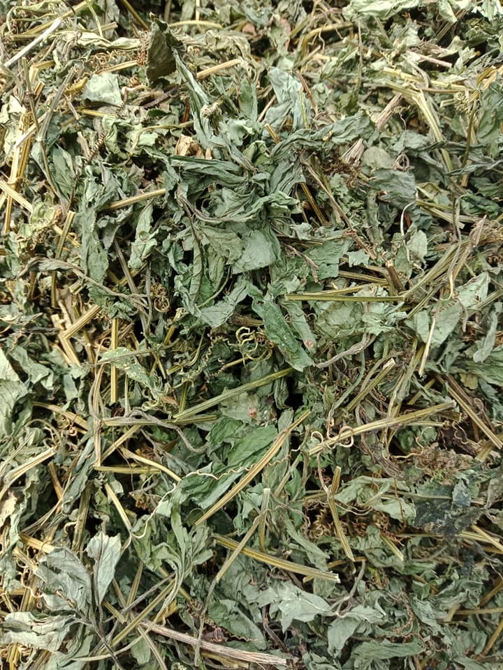 Cây Xạ Đen Hòa Bình khô(túi 1kg)