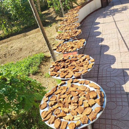 Hà Thủ Ô đỏ Khô LOẠI 1