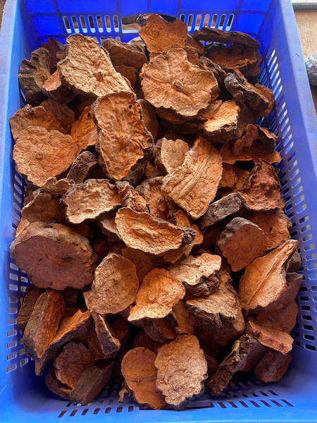 Hà Thủ Ô đỏ Khô LOẠI 1