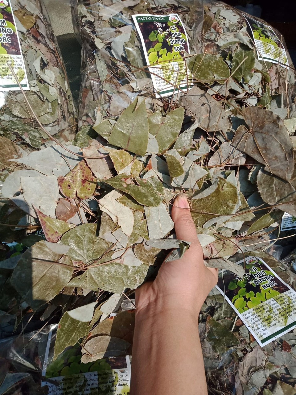 Lá Dâm Dương hoắc khô