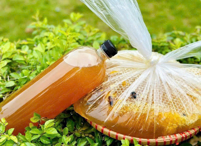 Mật Ong Rừng nguyên chất Tây Bắc(ong khoái,ong ruồi)