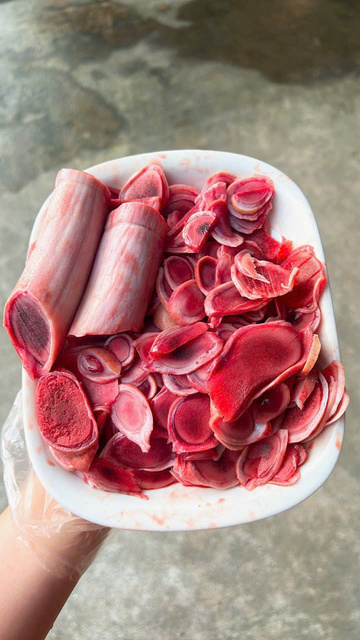 Nhung hươu  tươi Hương Sơn Hà Tĩnh